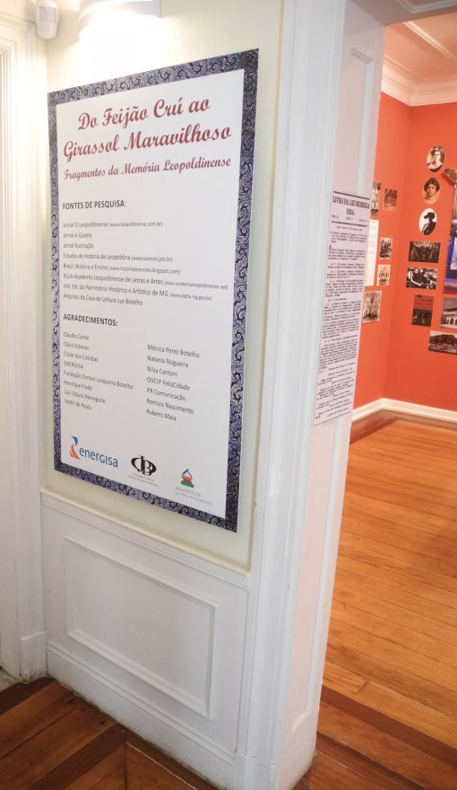 Do Feijão Cru ao Girassol Maravilhoso